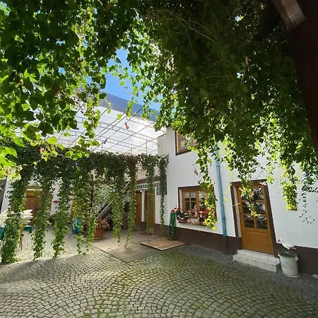 Wohnung In Kleinfischlingen Exterior photo